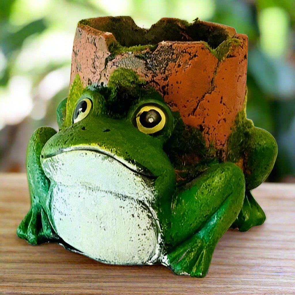 Froggy Planter - A Leaping Addition to Your Garden