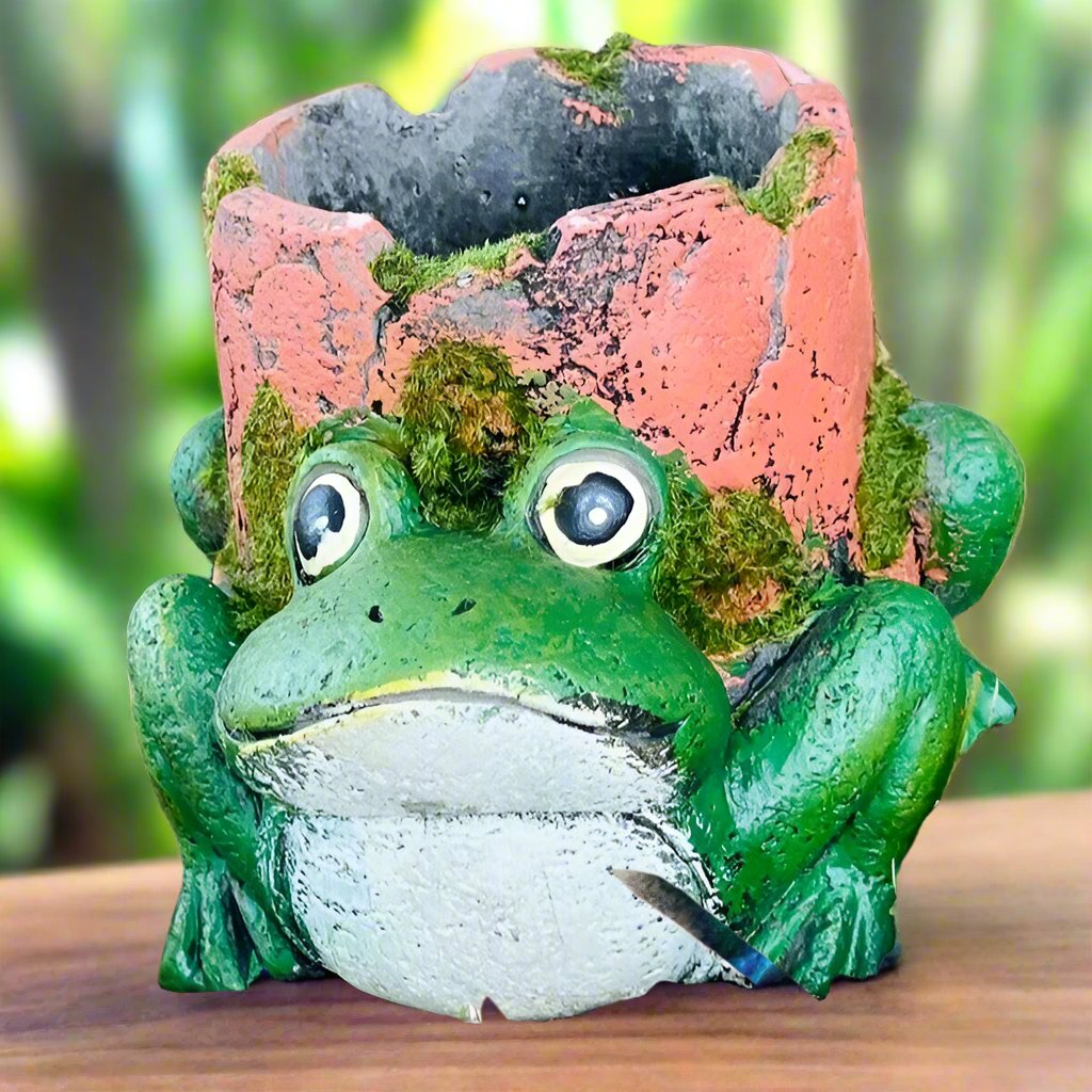 Froggy Planter - A Leaping Addition to Your Garden