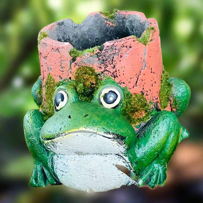 Froggy Planter - A Leaping Addition to Your Garden