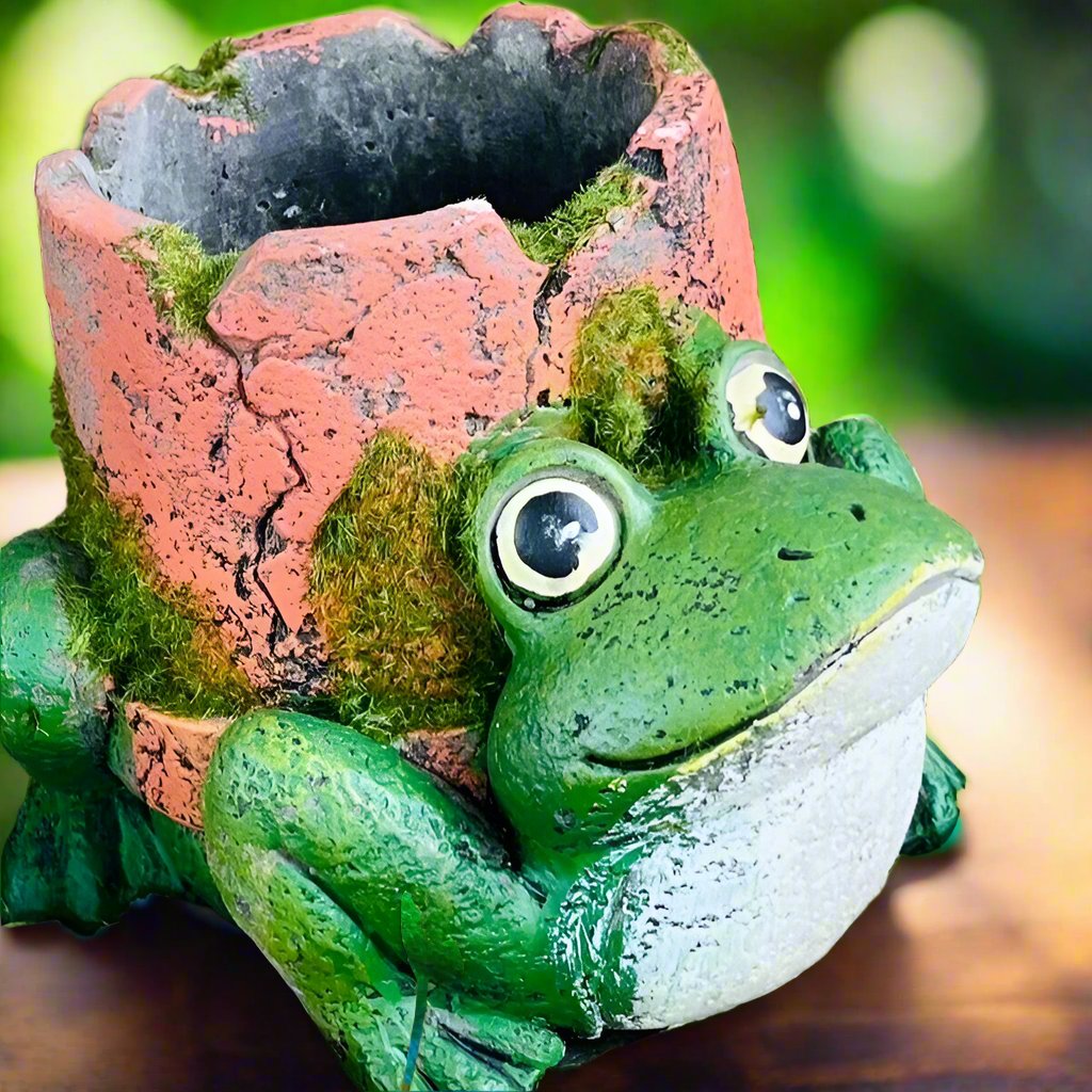 Froggy Planter - A Leaping Addition to Your Garden