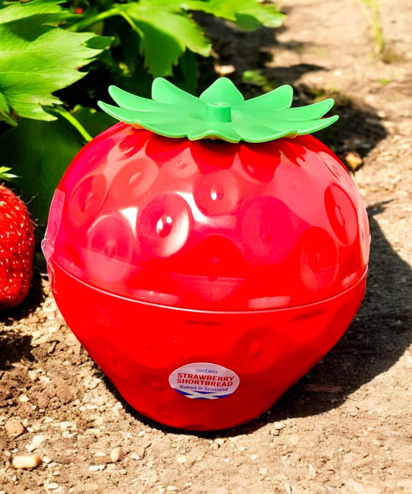 Luxury Strawberry Shaped Tin with Strawberry Flavoured Shortbread Baked in Scotland